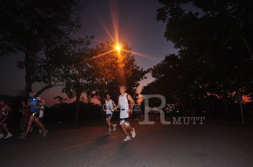 DSC_0134 - Copy (2).JPG